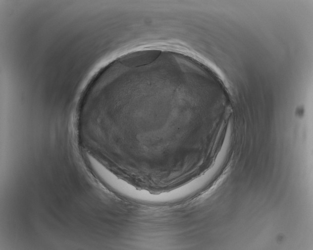 X0000116871506201001121251