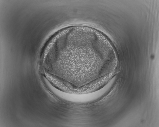 X0000116871507201001121251