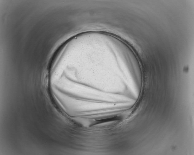 X0000116871509201001121251