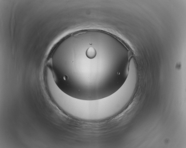 X0000116871510201001121251