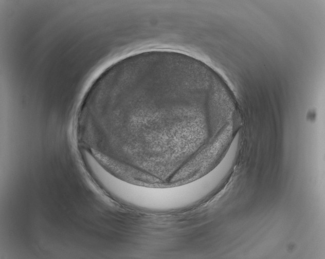 X0000116871511201001121251