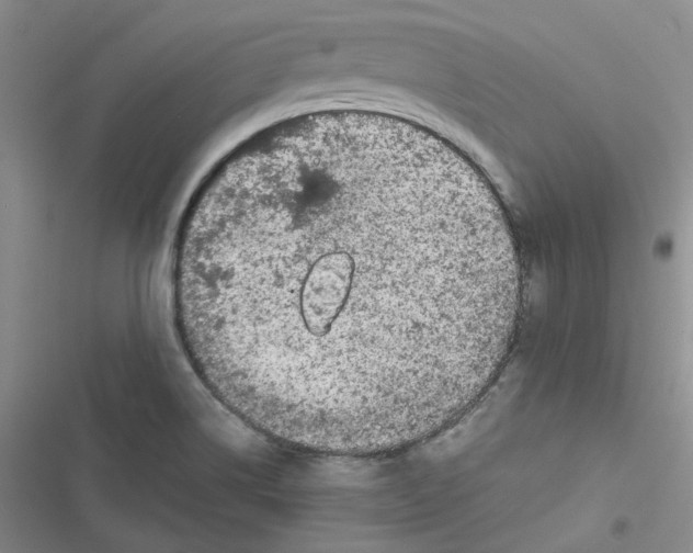 X0000116871514201001121251