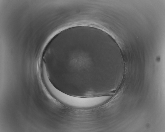 X0000116871515201001121251