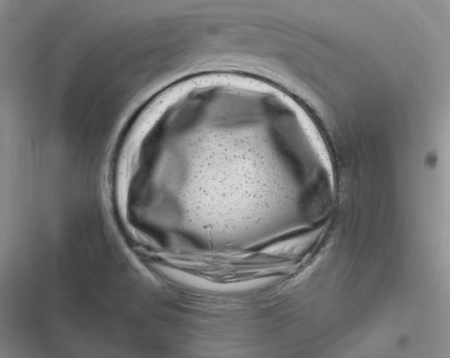 X0000116871517201001121251