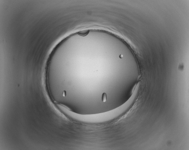 X0000116871518201001121251