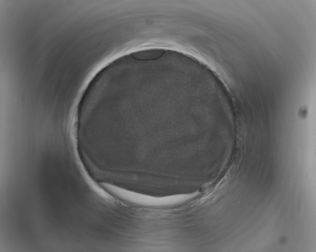 X0000116871519201001121251