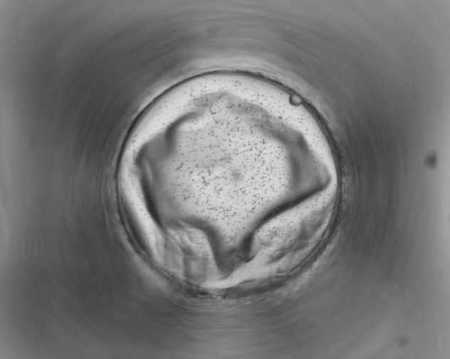 X0000116871521201001121251