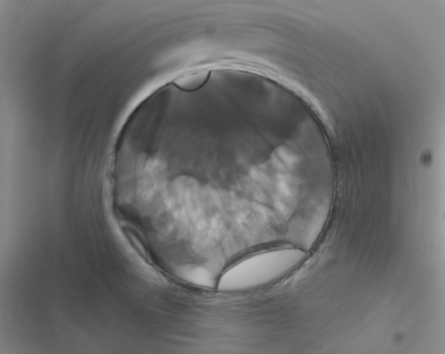 X0000116871522201001121251