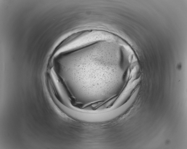 X0000116871523201001121251