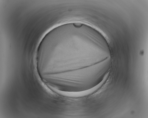 X0000116871526201001121251