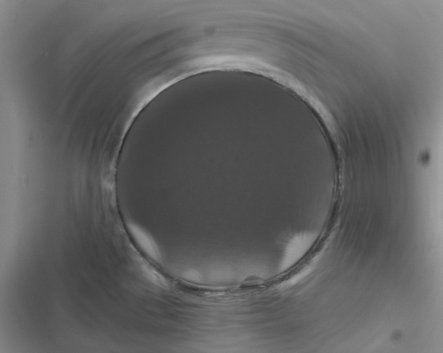 X0000116871529201001121251