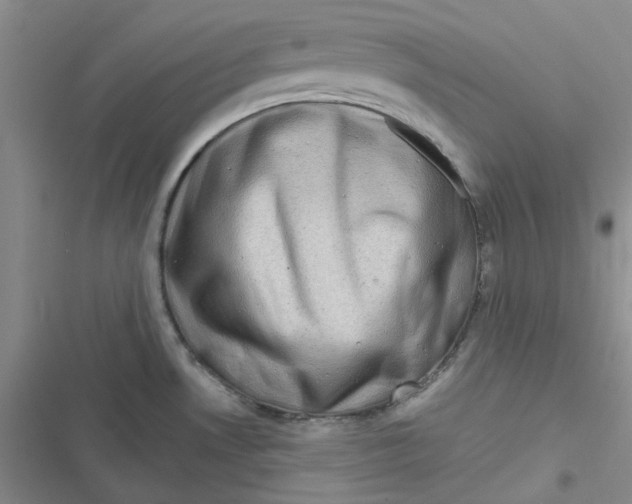 X0000116871530201001121251