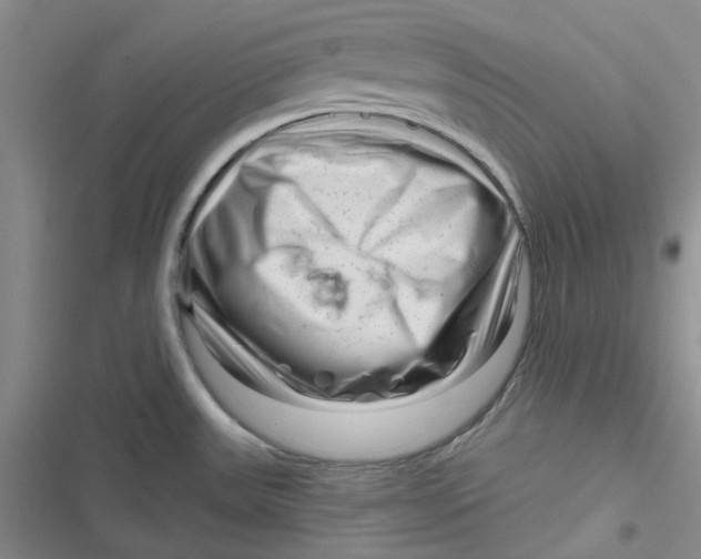 X0000116871531201001121251