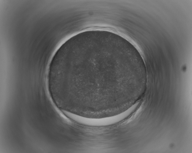 X0000116871533201001121251