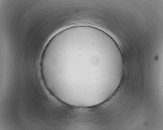 X0000116871534201001121251