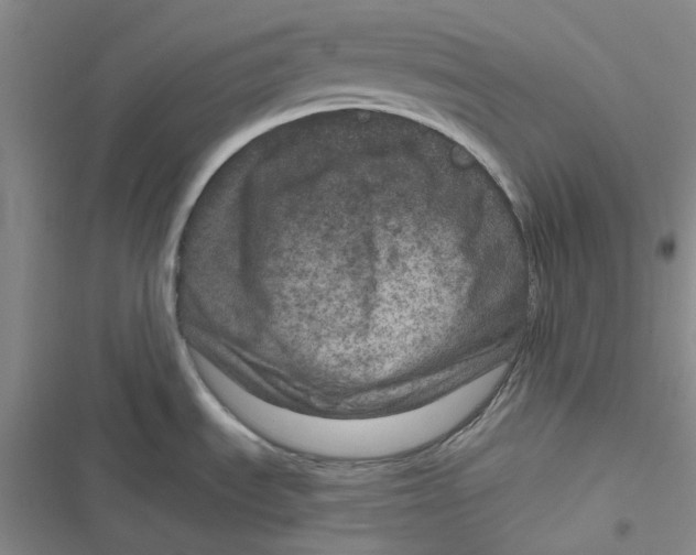 X0000116871535201001121251