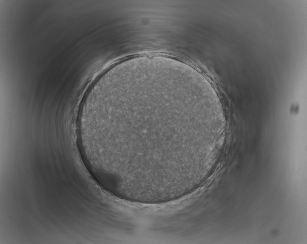 X0000116870002201001191733