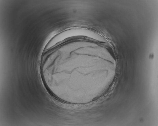X0000116870003201001191733