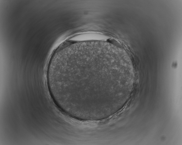 X0000116870004201001191733