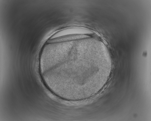X0000116870005201001191732
