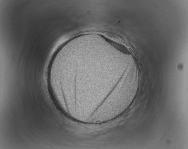 X0000116870006201001191732