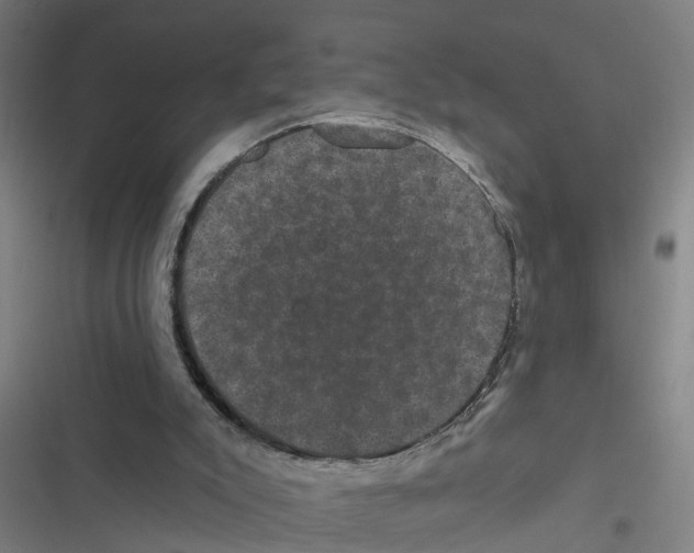 X0000116870007201001191732