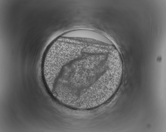 X0000116870008201001191732