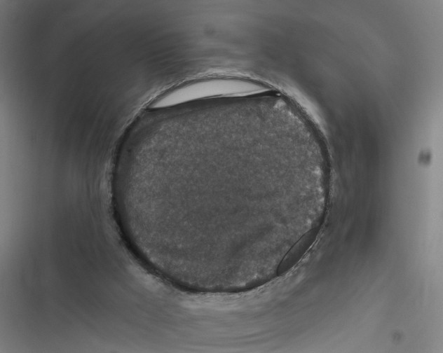X0000116870009201001191732
