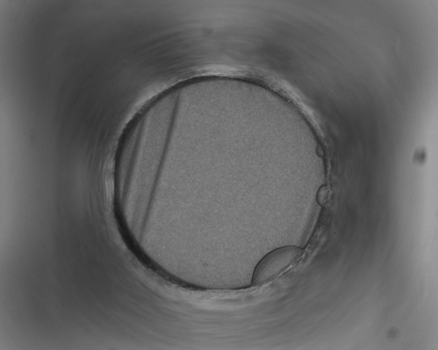 X0000116870011201001191732