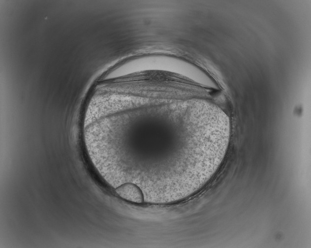 X0000116870012201001191732