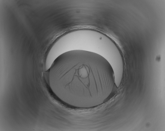 X0000116870013201001191732