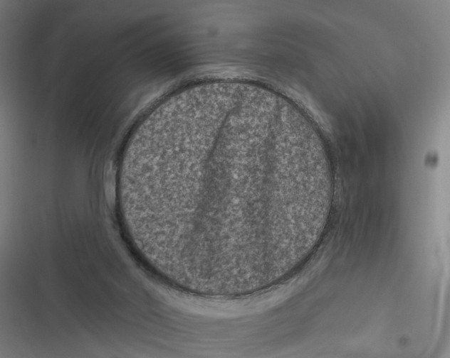 X0000116870014201001191732