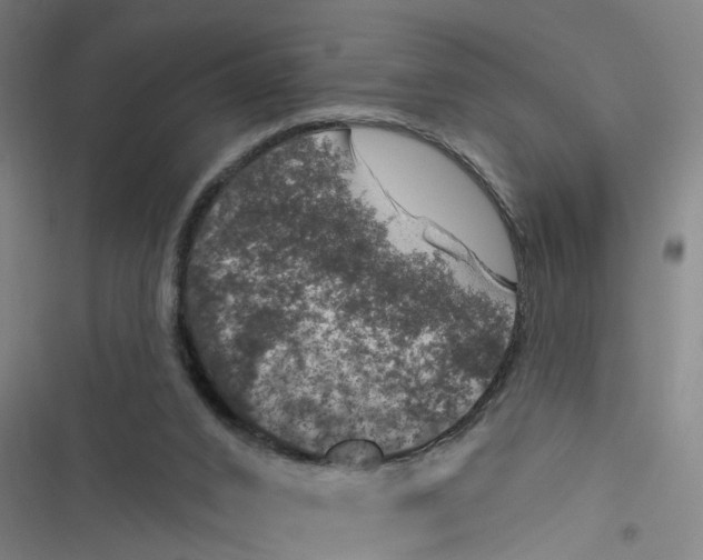 X0000116870016201001191732