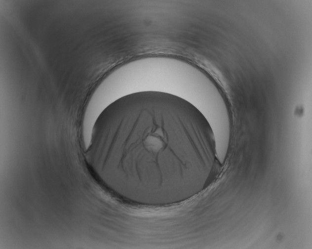 X0000116870017201001191732