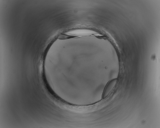 X0000116870019201001191732