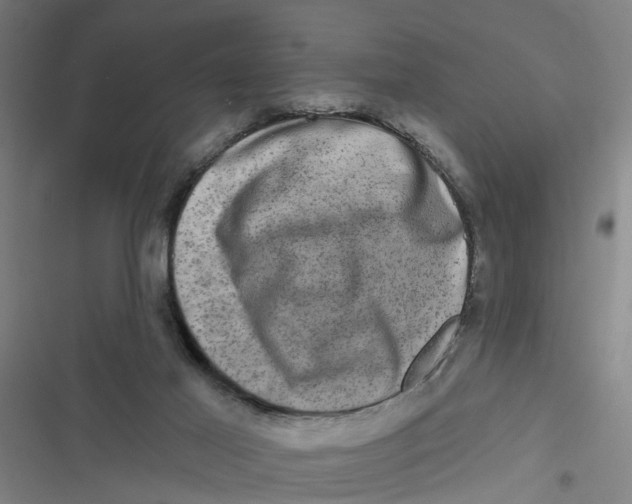 X0000116870021201001191732