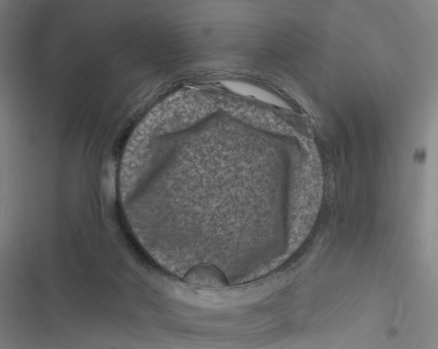 X0000116870022201001191732