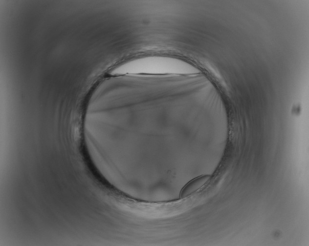 X0000116870023201001191732