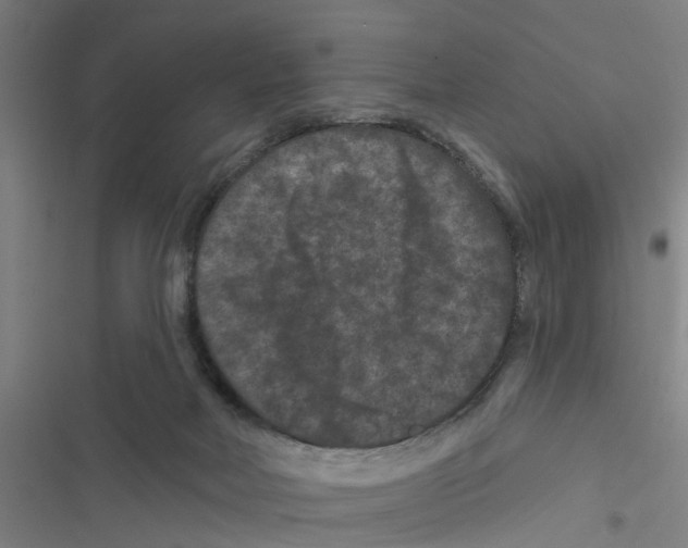 X0000116870026201001191732
