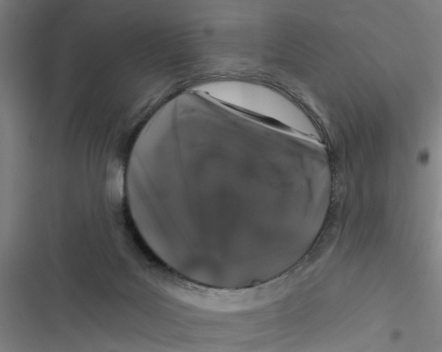 X0000116870027201001191732