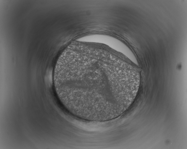 X0000116870028201001191732