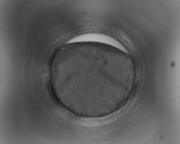 X0000116870029201001191732