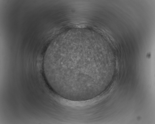 X0000116870030201001191732