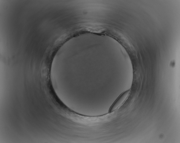 X0000116870031201001191732