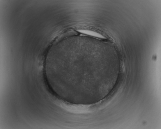 X0000116870032201001191732