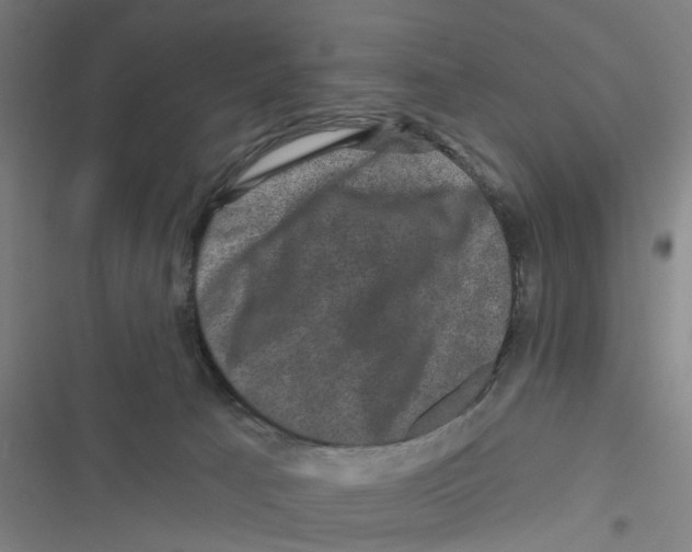X0000116870033201001191732