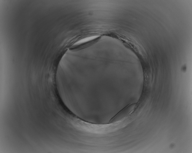 X0000116870035201001191732