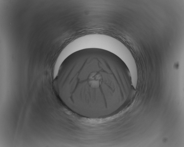 X0000116870037201001191732