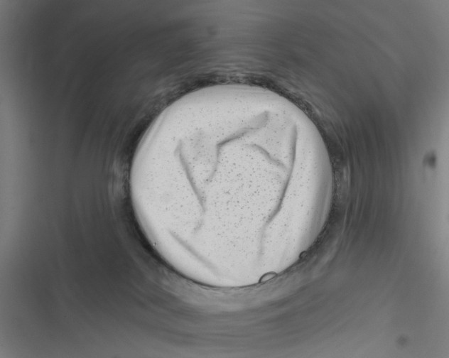 X0000116870038201001191732
