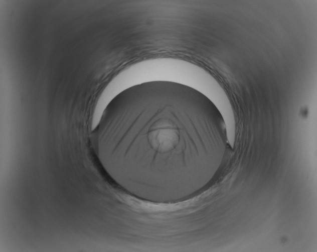 X0000116870039201001191732